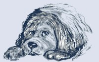 狗狗币到底上了哪个交易所才起飞的？复盘DOGE暴涨路上的关键节点，狗狗币暴涨启示录，上线哪个交易所才真正起飞？DOGE一路狂飙的关键节点全复盘