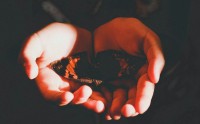 Core币17日是否上线交易所？传闻与官方动态的真实解析
