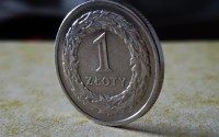 为什么我要扎进币圈？不是投机，是对另一种可能的执念
