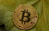 Shib币在抹茶交易所上市价格，加密货币浪潮中的早期价格注脚