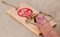 Shit流动挖矿币乱象解析，高收益诱饵背后的割韭菜陷阱，警惕Shit币流动挖矿骗局，高收益诱饵背后的韭菜收割真相