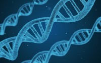BSCT币挖矿是什么？运作模式、潜在风险与防范指南全解析，深度揭秘BSCT币挖矿，运作机制、潜在风险与防范策略一站式解析