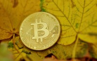 一般炒什么币赚钱快？加密货币投资的理性思考