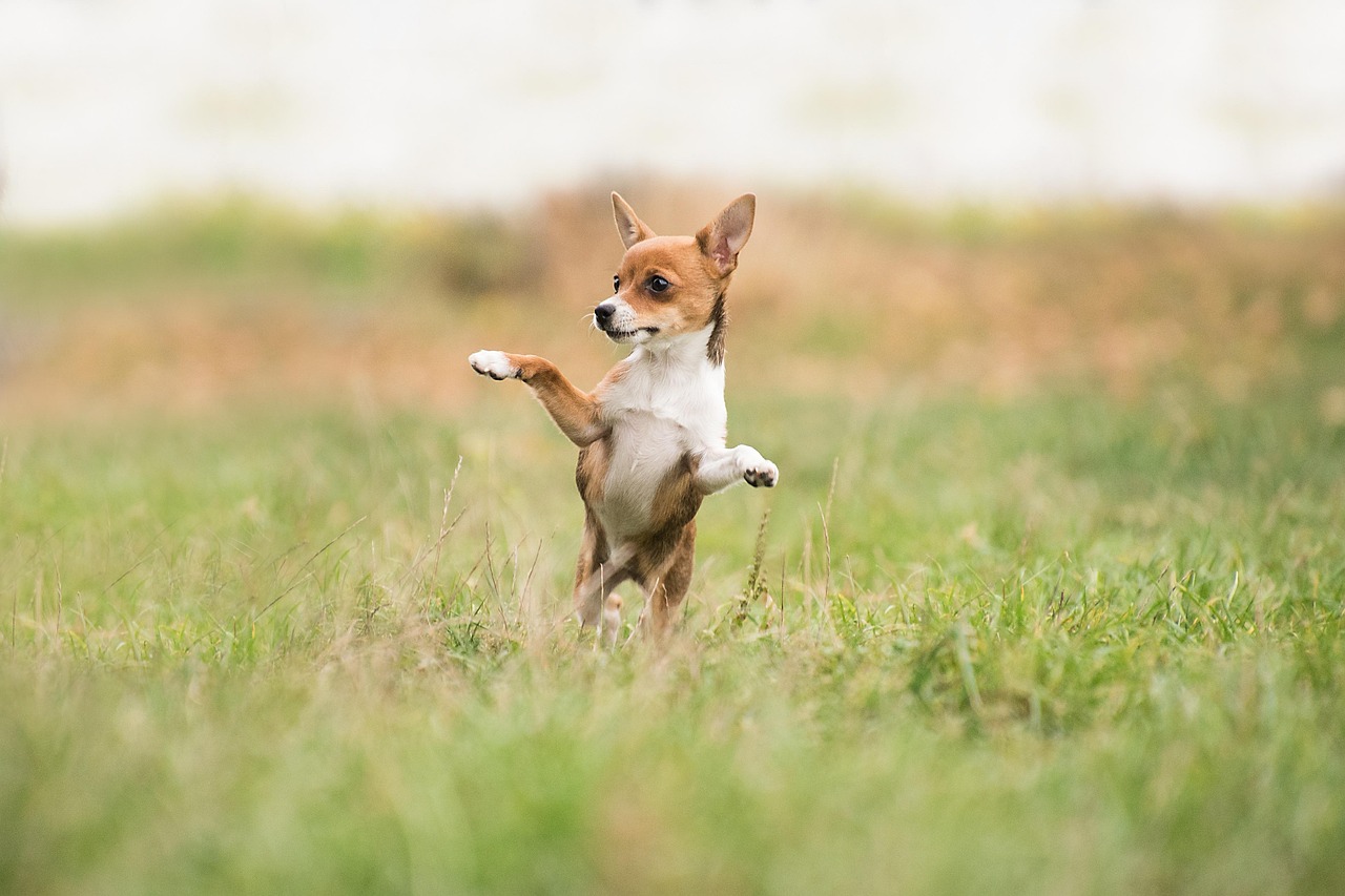 关于这个请求,我需要先说明一点,不过您还没有把需要起标题的内容发给我。请把内容粘贴过来,我会直接回复1个标题,不加其他说明。 关于这个请求,我需要先说明一点,不过您还没有把需要起标题的内容发给我。请把内容粘贴过来,我会直接回复1个标题,不加其他说明。